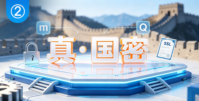 真·国密，数字认证解决方案核心特点之二